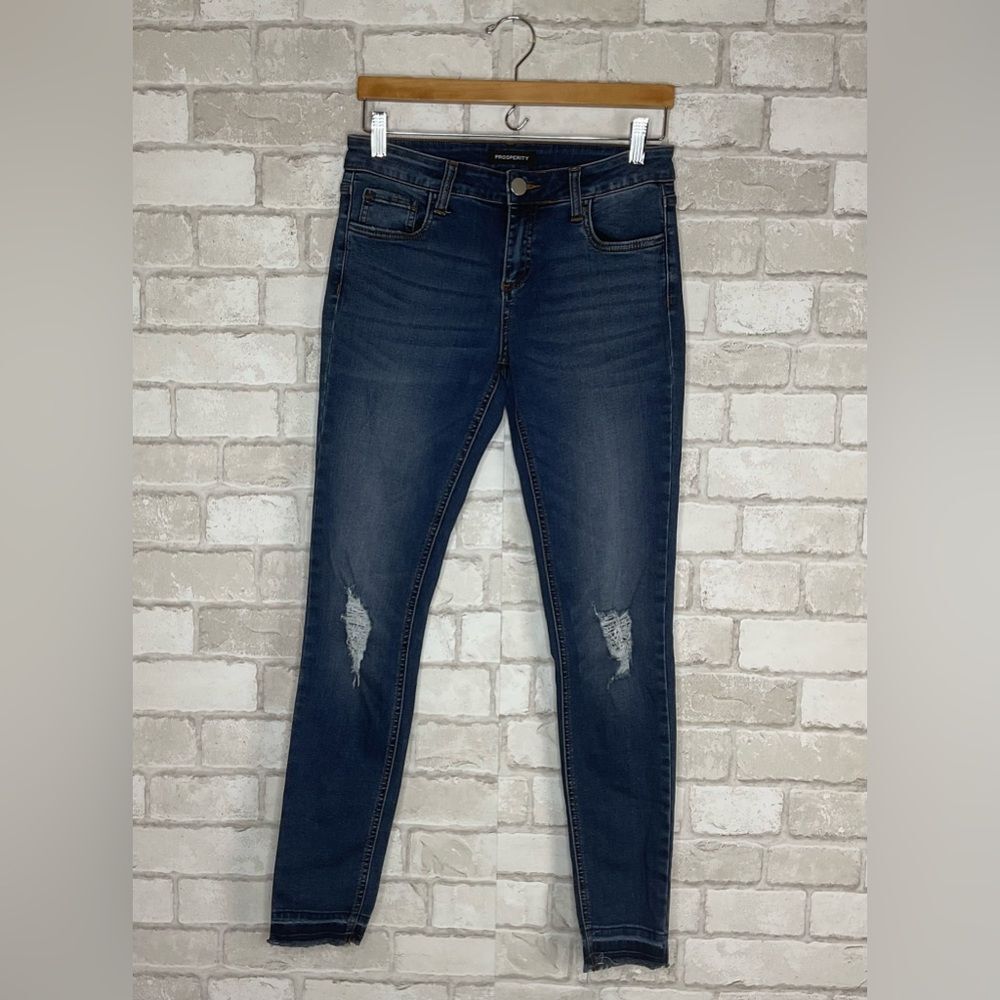 Prosperity Distressed Skinny Jeans Size 27